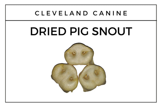 Pig Snout Qty - 10