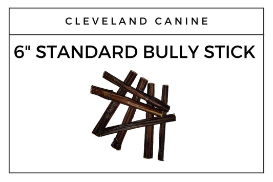 6" Standard Bully Stick (single)